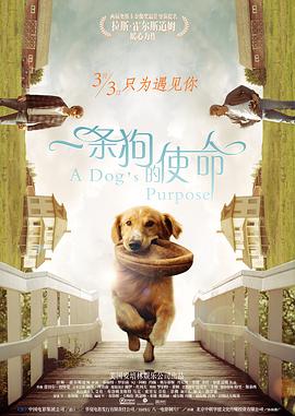 但IP续作也呈现两极特征：《哪吒之魔童闹海》凭借技术创新与文化内核实现情感共鸣；《唐探1900》依托成熟IP增强市场热度。