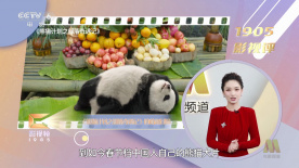 发布会全程由电影频道融媒体面向全网平台播出。